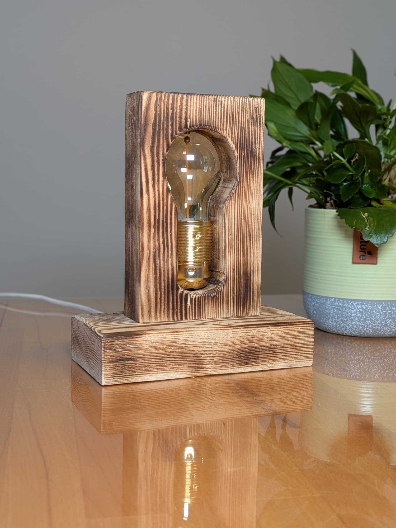 Silhouetten-Lampe im Wohnraum mit Pflanze